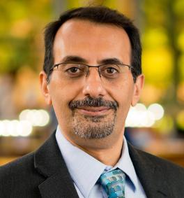 Reza Amini, Public Health and Health Sciences, University of Michigan-Flint