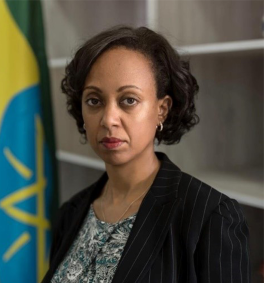Lia Tadesse Gebremedhin, Center for Global Health Equity at the University of Michigan