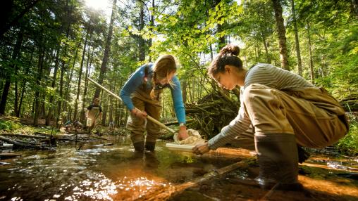 Students collecting water samples, School for Environment and Sustainability, University of Michigan
